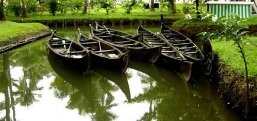 Kerala Boats